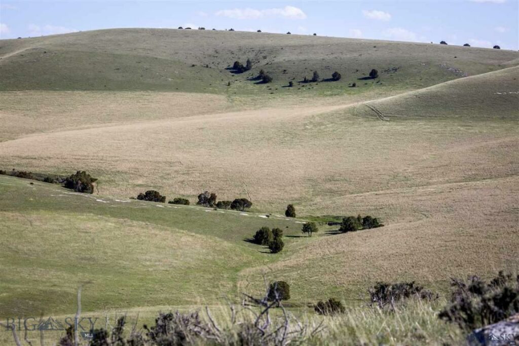 Three Forks MT 59752 - 8