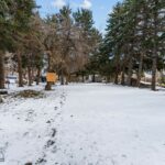 Bozeman MT 59715 - 19