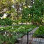 911 S Willson Avenue