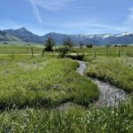 Belgrade MT 59714 - 1