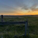 9119 Gee Norman Road