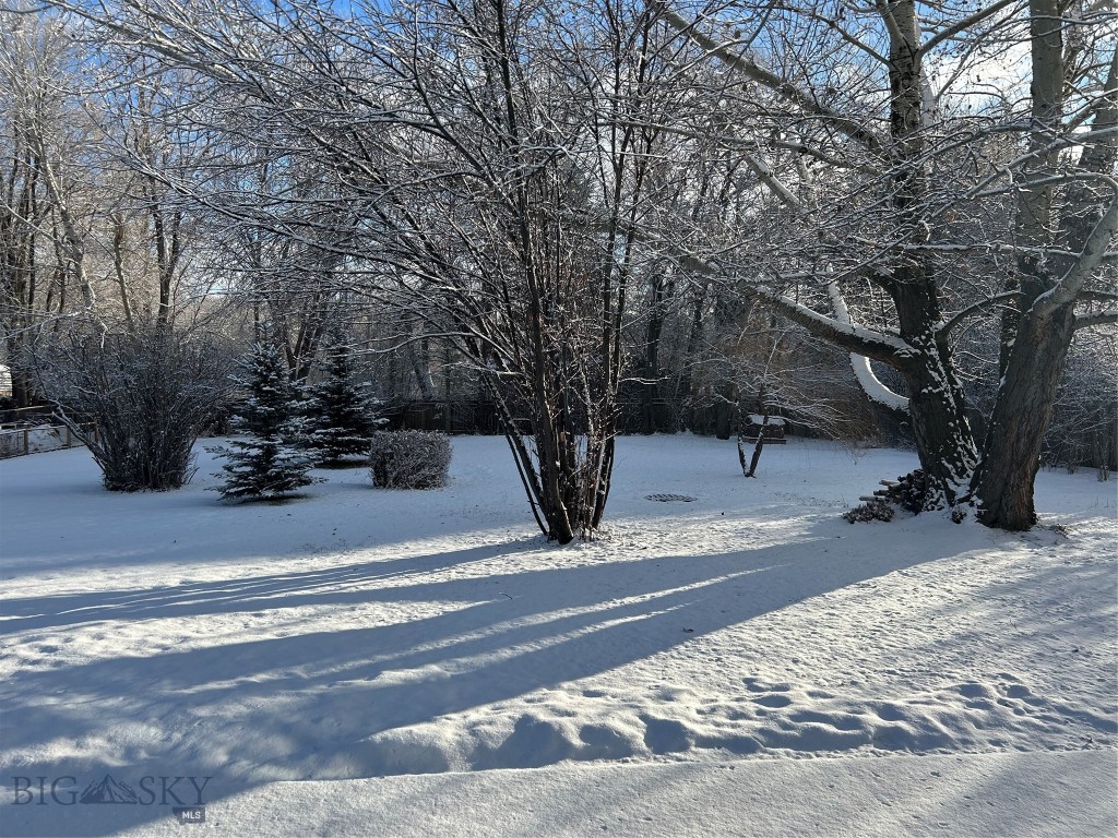 Bozeman MT 59718 - 22