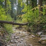 Bozeman MT 59715 - 25