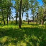 9704 River Road