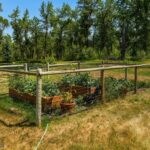 Bozeman MT 59718 - 22