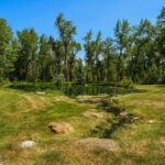 9704 River Road