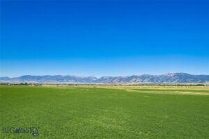 TBD E Cameron Bridge Road, Bozeman MT 59718
