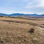 Parcel 6 Jackson Creek
