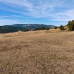 Parcel 6 Jackson Creek