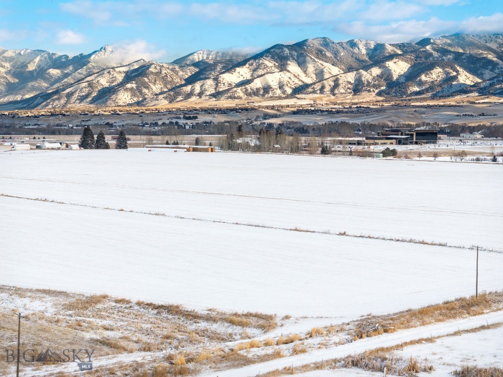 TBD Catamount & Davis