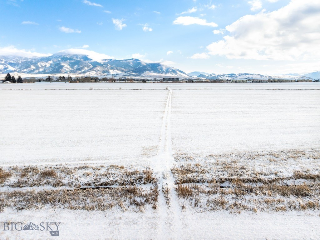 TBD Catamount & Davis