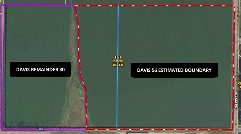 TBD Catamount & Davis