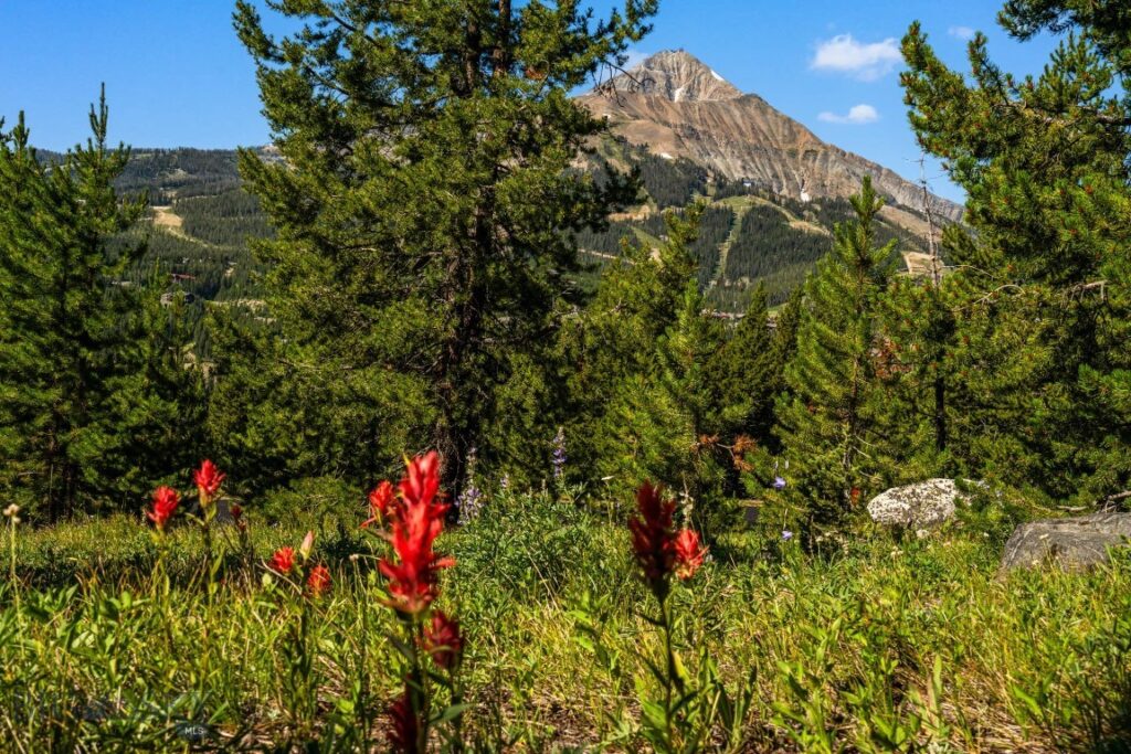 TBD Beehive Basin Lot 132A-1 Road