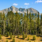 TBD Beehive Basin Lot 132A-1 Road