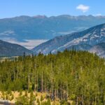 TBD Beehive Basin Lot 132A-1 Road