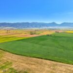 Belgrade MT 59714 - 6