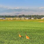 TBD Penwell Bridge Road