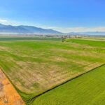 Belgrade MT 59714 - 9