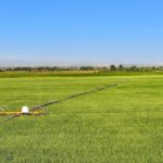 Belgrade MT 59714 - 2