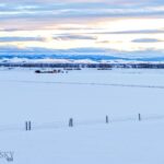 Belgrade MT 59714 - 24