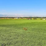 Belgrade MT 59714 - 3