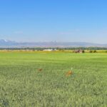 TBD Penwell Bridge Road