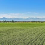 Belgrade MT 59714 - 4