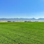 TBD Penwell Bridge Road