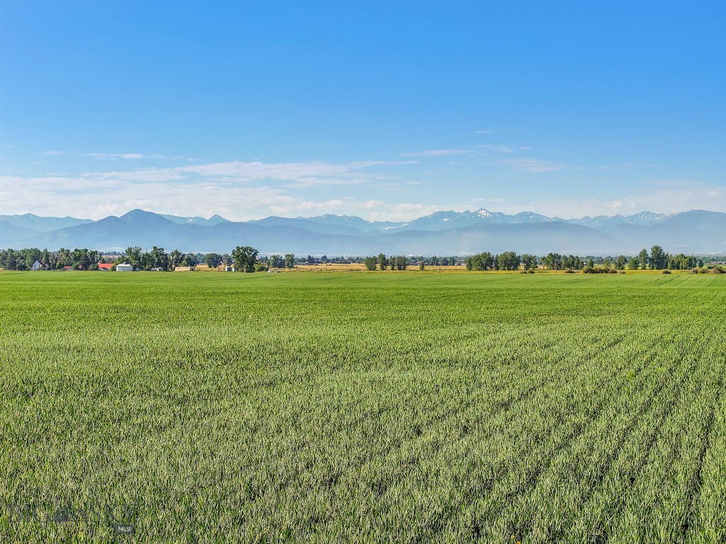 Belgrade MT 59714 - 1