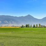 Belgrade MT 59714 - 7