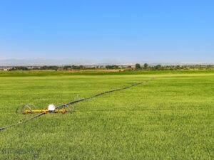 TBD Penwell Bridge Road, Belgrade MT 59714