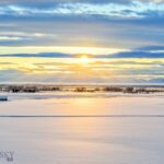 Belgrade MT 59714 - 16