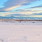 Belgrade MT 59714 - 19