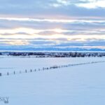 Belgrade MT 59714 - 24