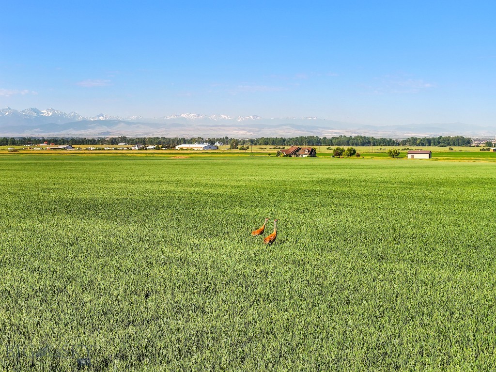 Belgrade MT 59714 - 3