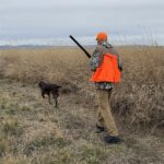 Belgrade MT 59714 - 1