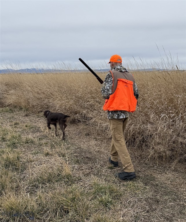 Belgrade MT 59714 - 1