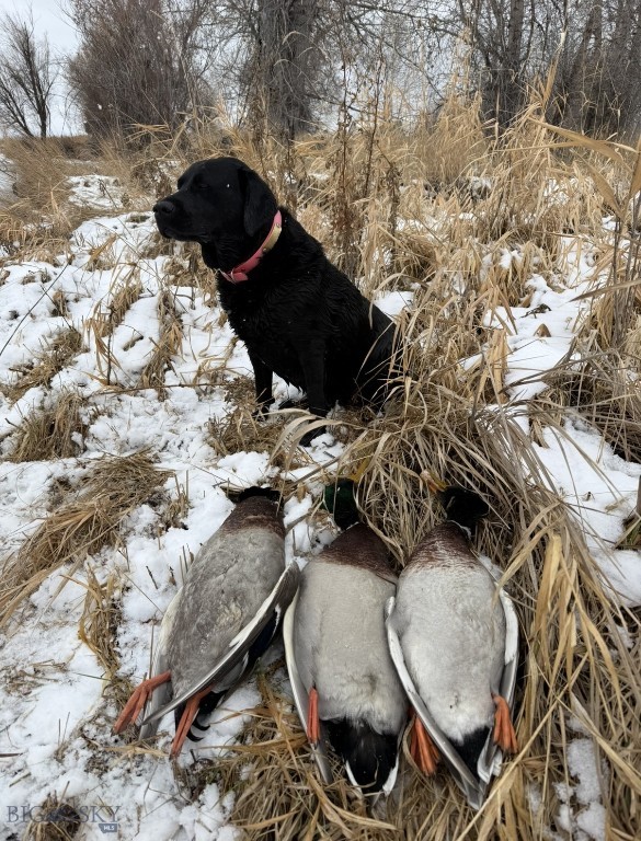 TBD Penwell Bridge Road