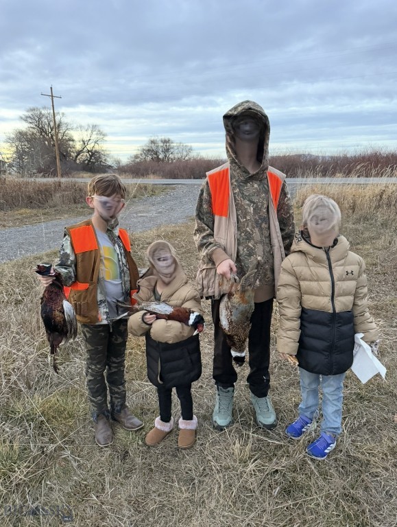 Belgrade MT 59714 - 6