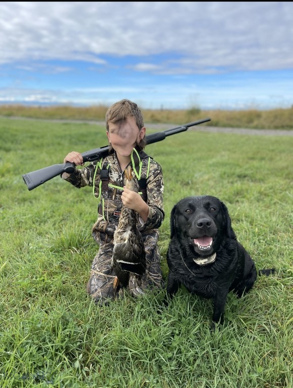 Belgrade MT 59714 - 9