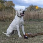 TBD Penwell Bridge Road