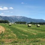 Belgrade MT 59714 - 2