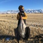 Belgrade MT 59714 - 3