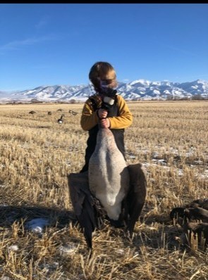 Belgrade MT 59714 - 3