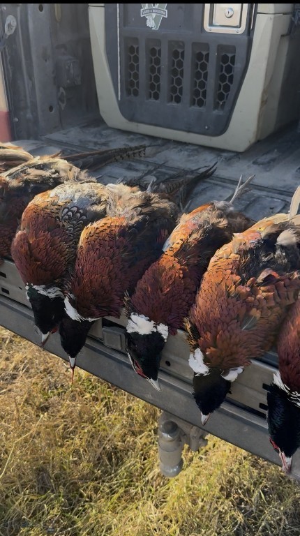 TBD Penwell Bridge Road