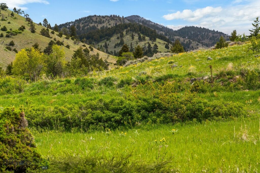 Four Bar Ranches Corbly Gulch Road