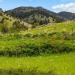 Four Bar Ranches Corbly Gulch Road
