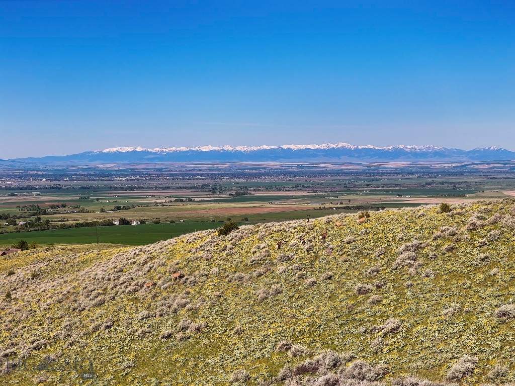 Four Bar Ranches Corbly Gulch Road