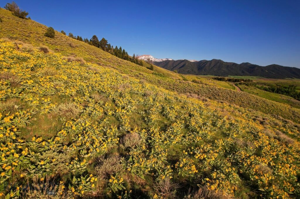 Four Bar Ranches Corbly Gulch Road
