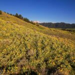 Four Bar Ranches Corbly Gulch Road